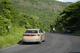 Audi Q8 Rear View