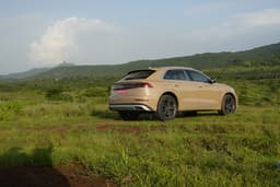 Audi Q8 Rear View