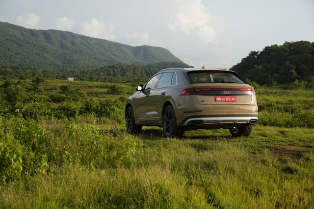 Rear View Image - 12755