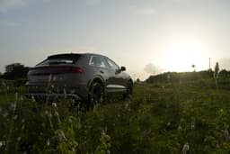 Audi Q8 Rear View