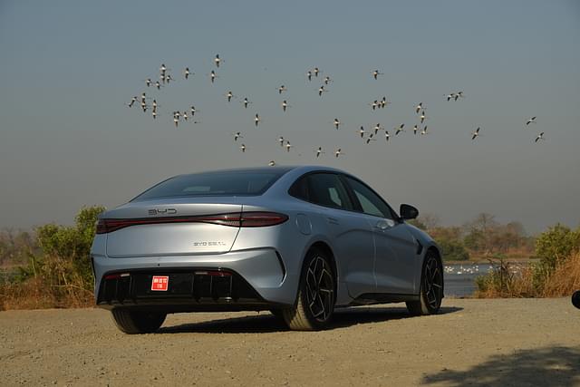 Rear View Image - 2127