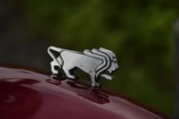 Benelli Leoncino 500 Color Red