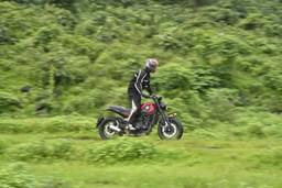 Benelli Leoncino 500 Color Red