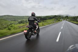 Benelli Leoncino 500 Rear View