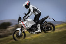 Ducati DesertX Color White