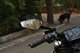 Ducati Diavel V4 Color Black