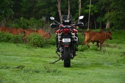 Ducati Multistrada V4 Rear View