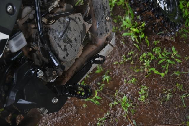 Color Black Image - 23747