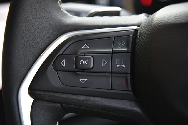 Leather Wrapped Steering Wheel Image - 10919