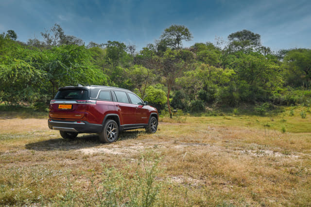 Rear View Image - 5620