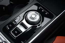 Kia Carnival Elevating Gear Knob