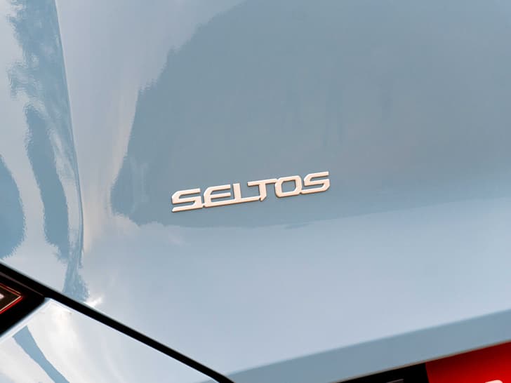 Rear Badge