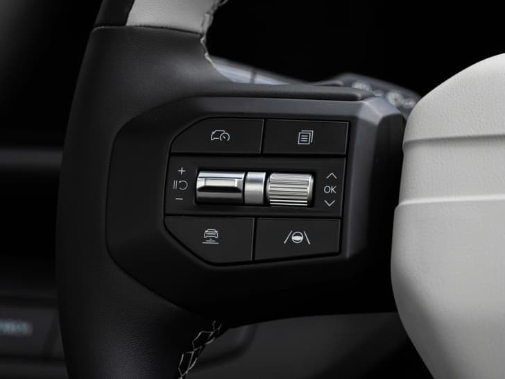 Steering Mounted Controls