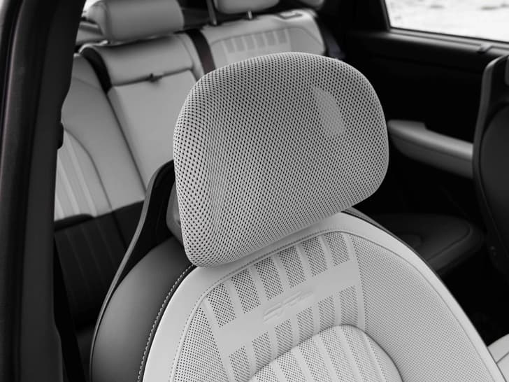 Front Row Adjustable Headrests