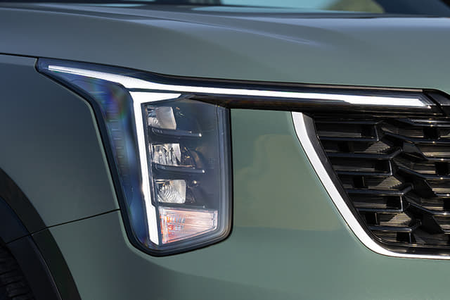 Color Green Image - 32018