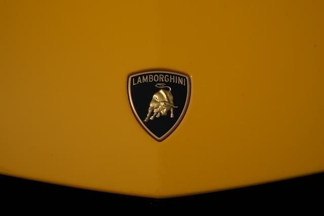 Closed Bonnet Image - 1760