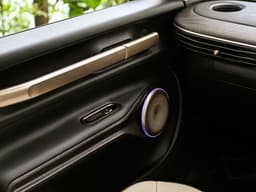 Mg Windsor Door Controls