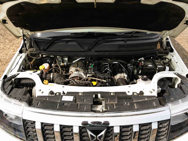 Color White Image - 31775