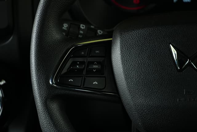 Leather Wrapped Steering Wheel Image - 29054