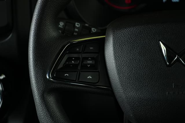 Leather Wrapped Steering Wheel Image - 29054
