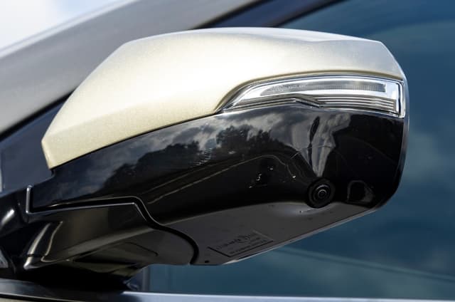 Dual Tone Body Colors Image - 30453