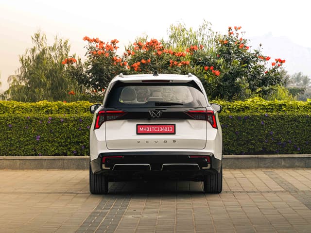 Rear View Image - 30532