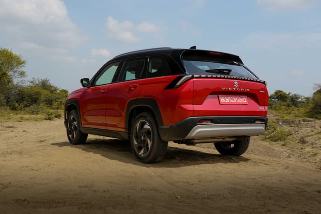 Rear View Image - 29319