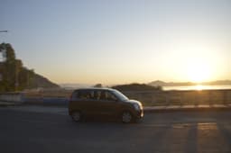 Maruti Suzuki Wagon R Color Brown