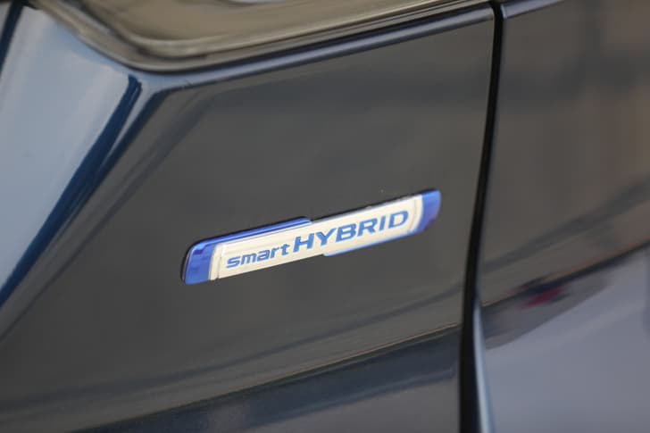 Rear Logo