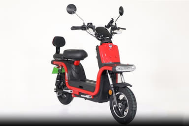 Okinawa Dual 100
