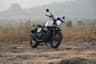 Royal Enfield Bear 650