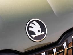 Skoda Kushaq Color Green