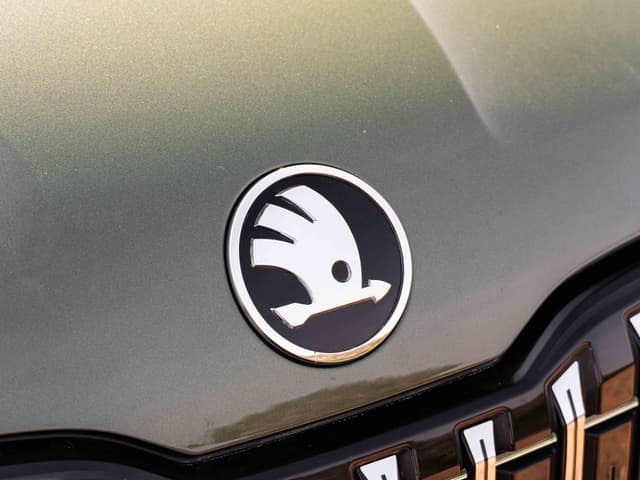 Color Green Image - 33828