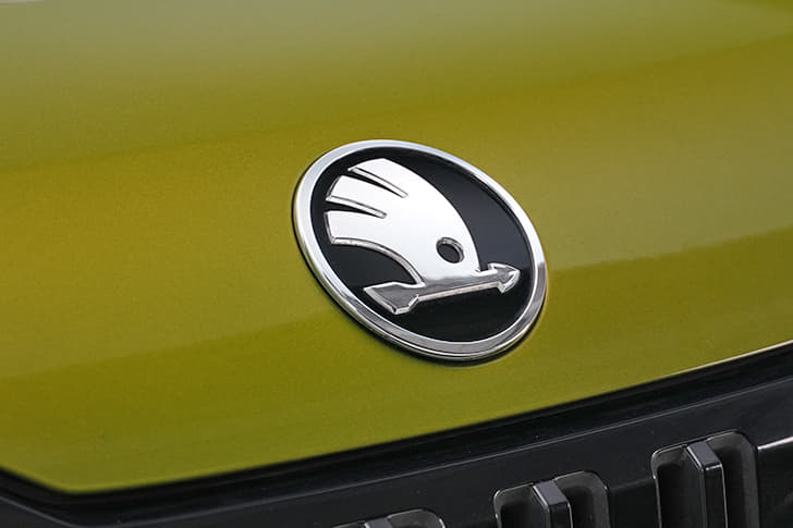 Skoda Kylaq Color Green