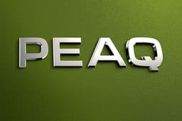 Skoda Peaq Rear Badge