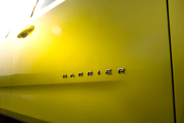 Color Yellow Image - 9748