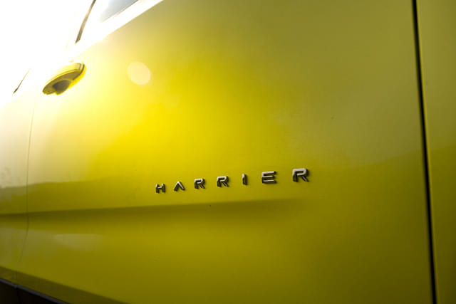 Color Yellow Image - 9748