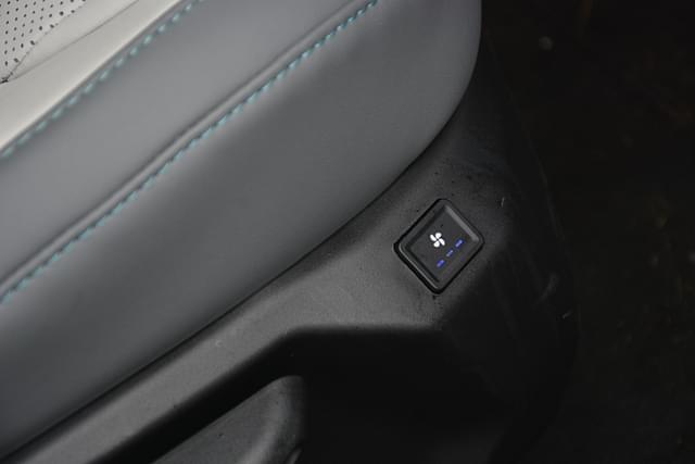 Color Grey Image - 1599