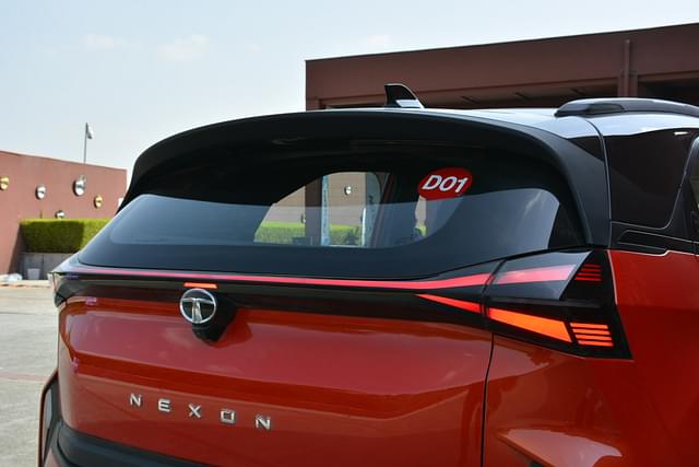 Rear View Image - 10797