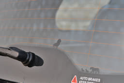 Tata Safari Rear View