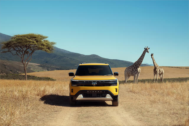 Front View Image - 29909