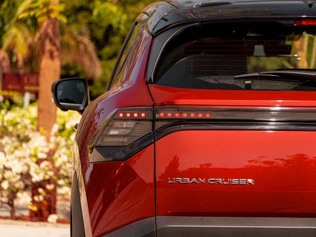 Rear View Image - 32986