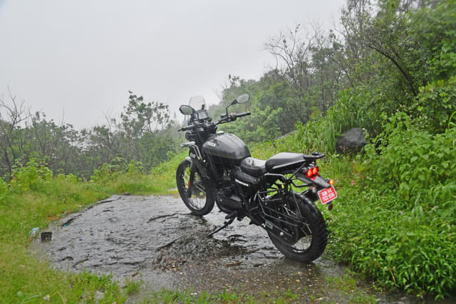 Rear View Image - 29964