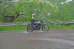 Yezdi Adventure Color Black, Green, Blue