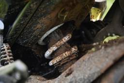 Zontes 350t Rear Suspension