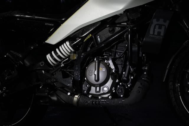 Color Black Image - 24744