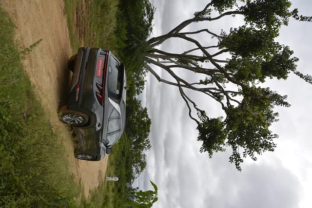 Rear View Image - 12908