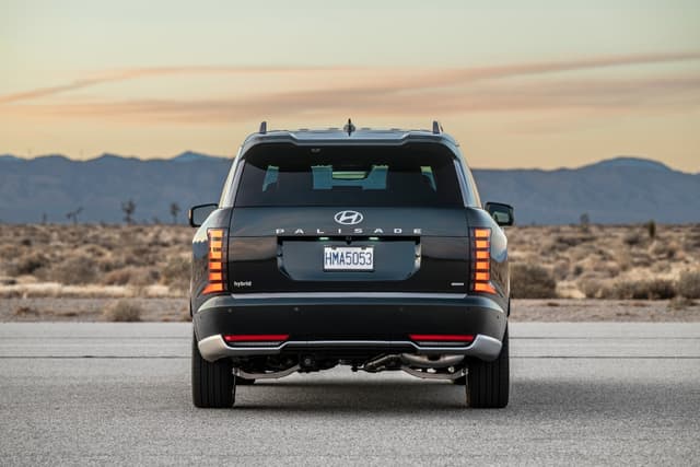 Hyundai Palisade Rear View