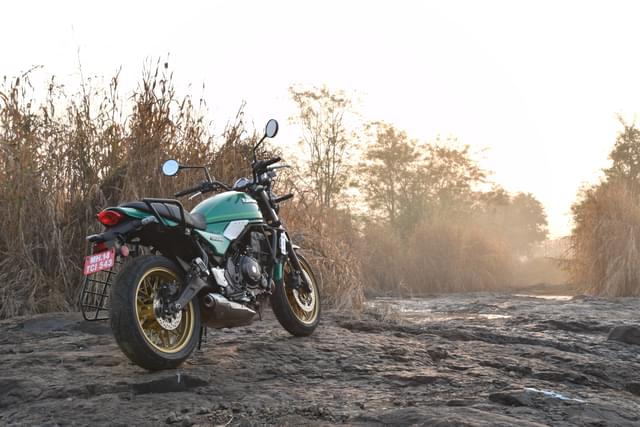 Color Green Image - 25098