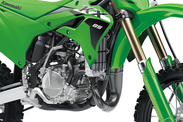 Color Green Image - 32064
